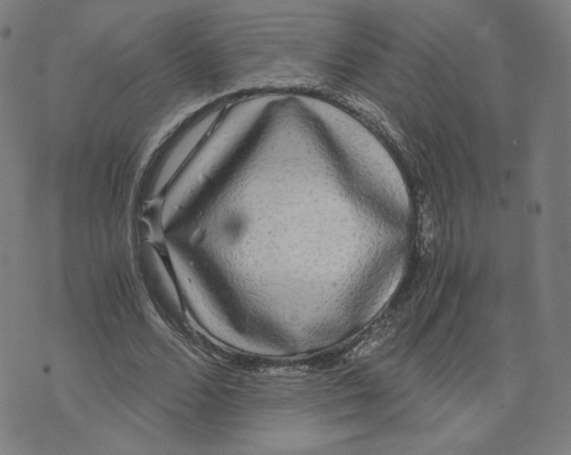 X0000071790680200607211623