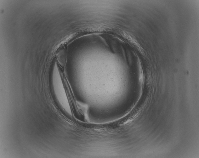 X0000071790681200607211622