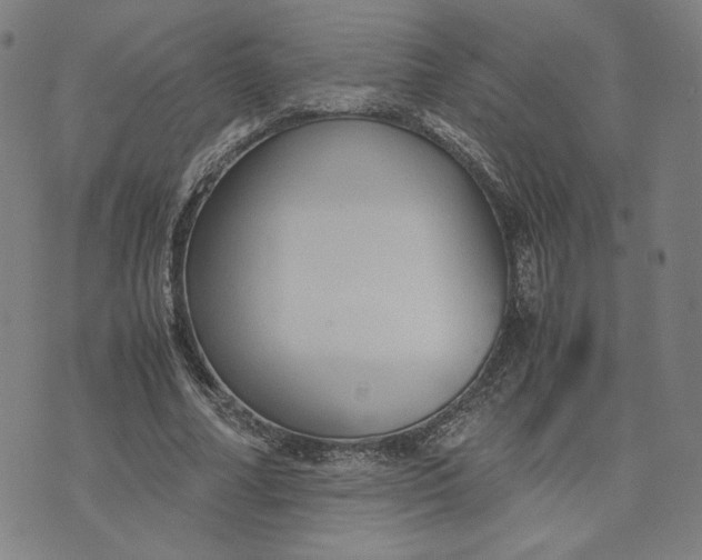 X0000071790682200607211622