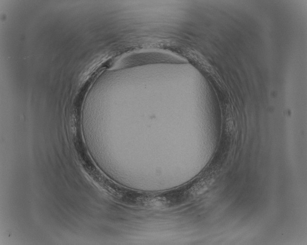 X0000071790683200607211622