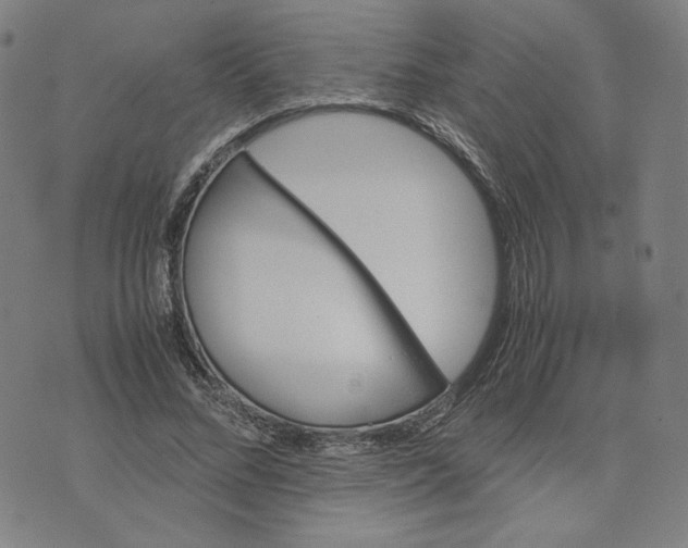 X0000071790684200607211622