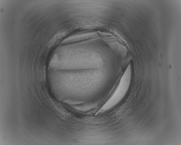 X0000071790685200607211622