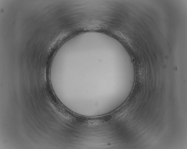 X0000071790686200607211622