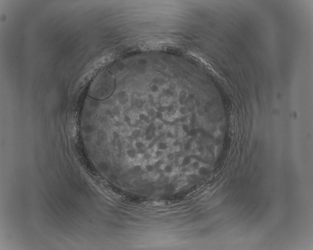 X0000071790687200607211622