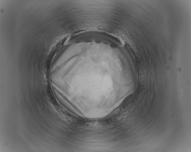 X0000071790688200607211622