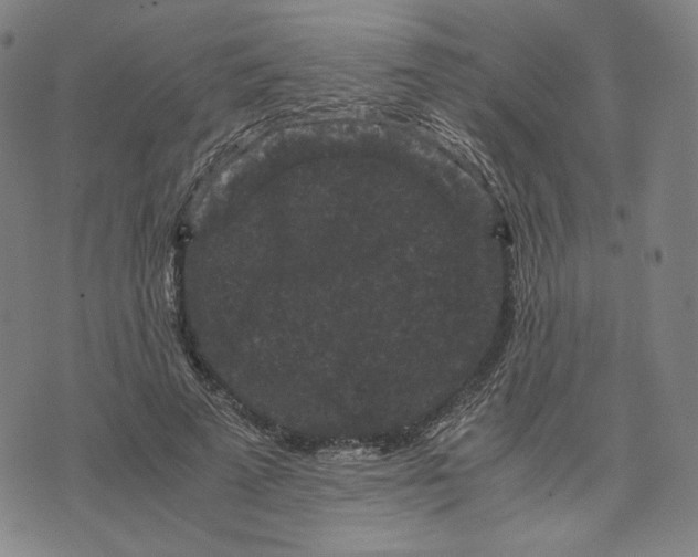 X0000071790689200607211622