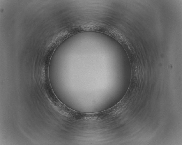 X0000071790690200607211622