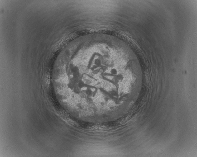 X0000071790691200607211622