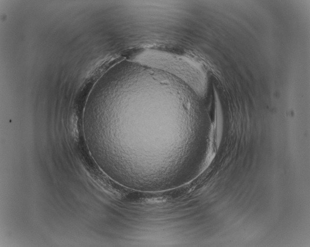 X0000071790692200607211622