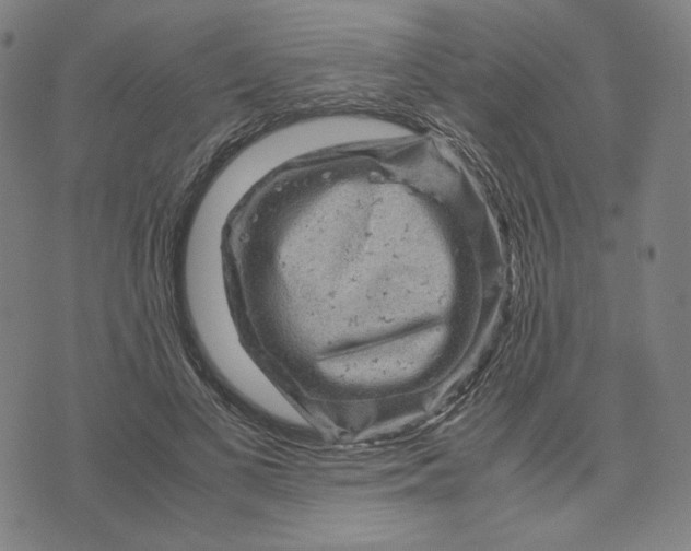 X0000071790693200607211622