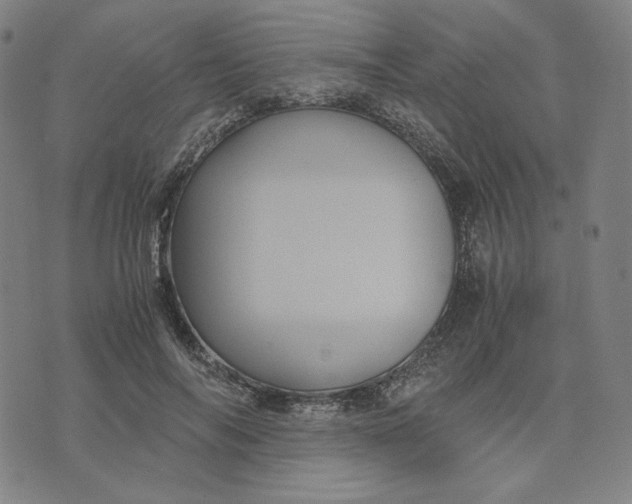 X0000071790694200607211622