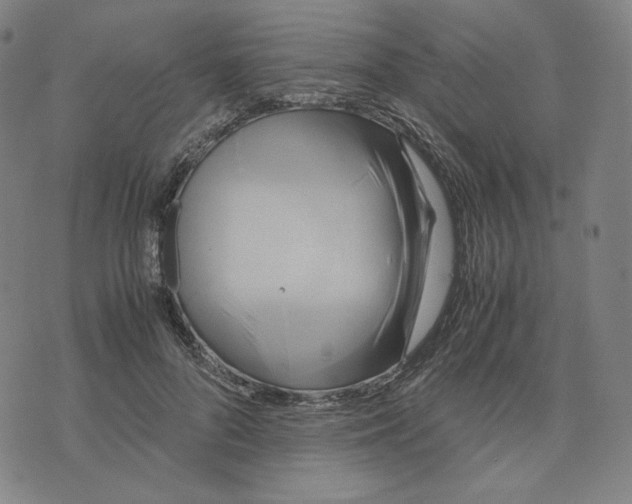 X0000071790696200607211622