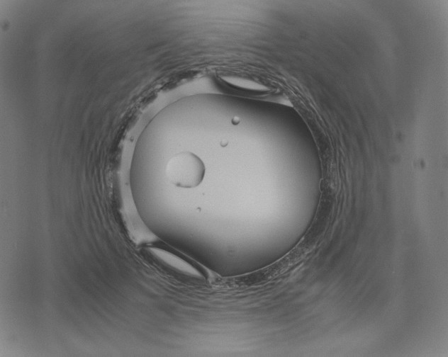 X0000071790697200607211622