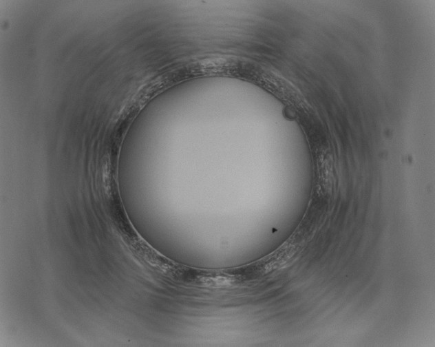 X0000071790698200607211622