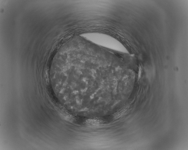 X0000071790699200607211622