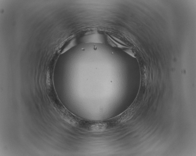 X0000071790700200607211622