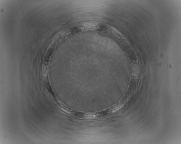 X0000071790701200607211622