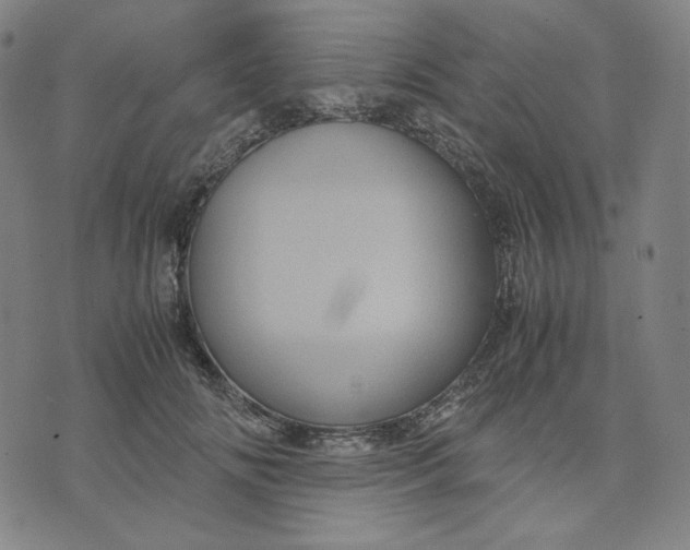 X0000071790702200607211622