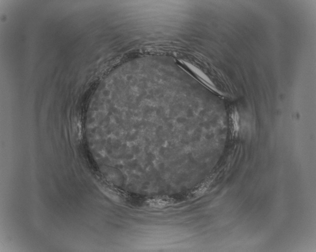 X0000071790703200607211622