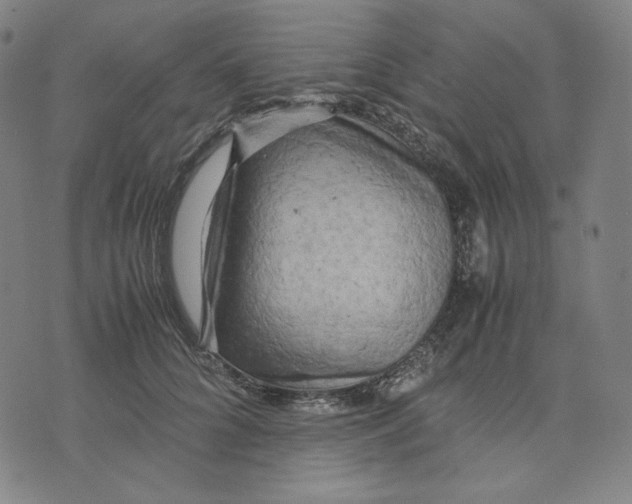 X0000071790704200607211622