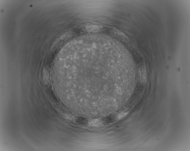 X0000071790705200607211622