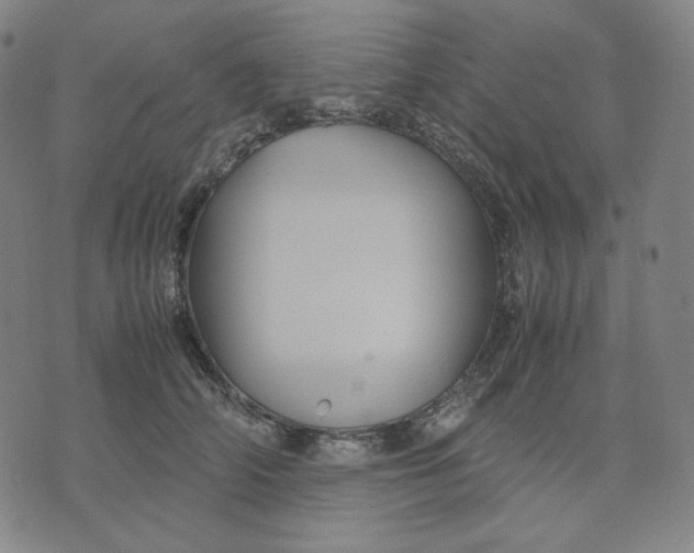 X0000071790706200607211622