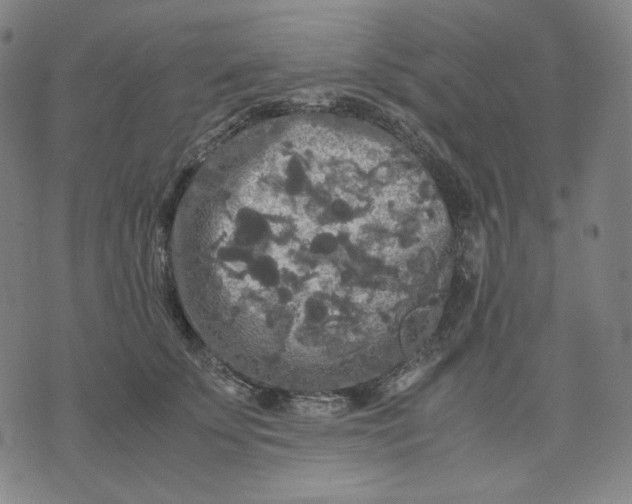 X0000071790707200607211622