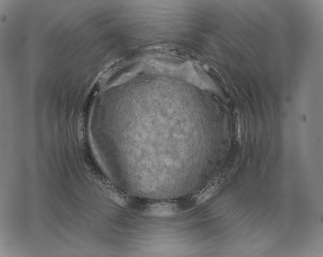 X0000071790708200607211622