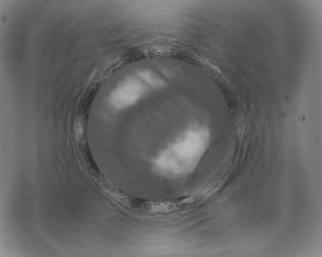 X0000071790709200607211622