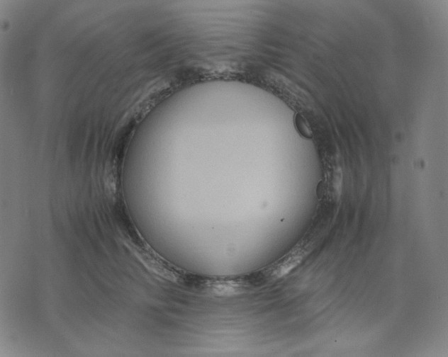 X0000071790710200607211622