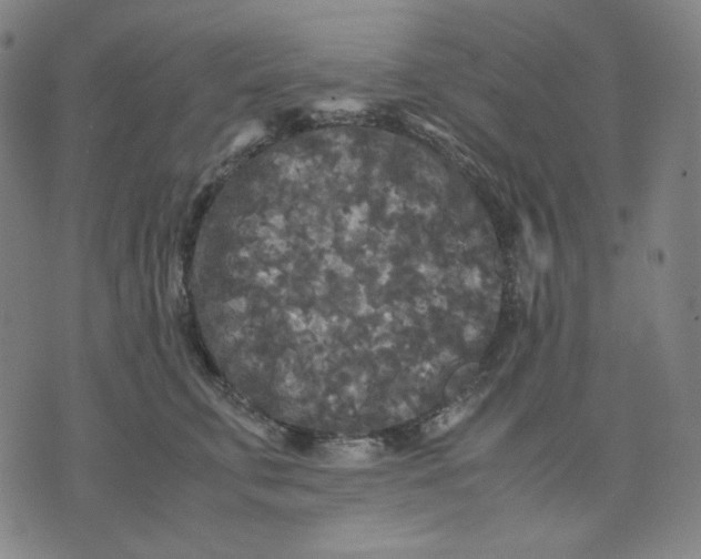 X0000071790711200607211622