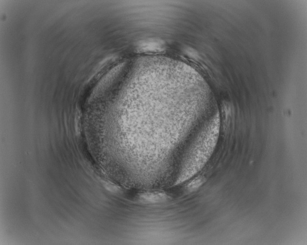 X0000071790712200607211622