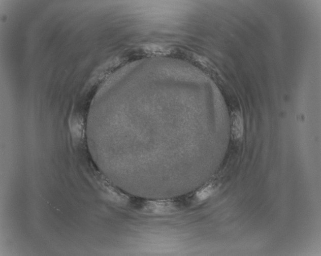 X0000071790713200607211622