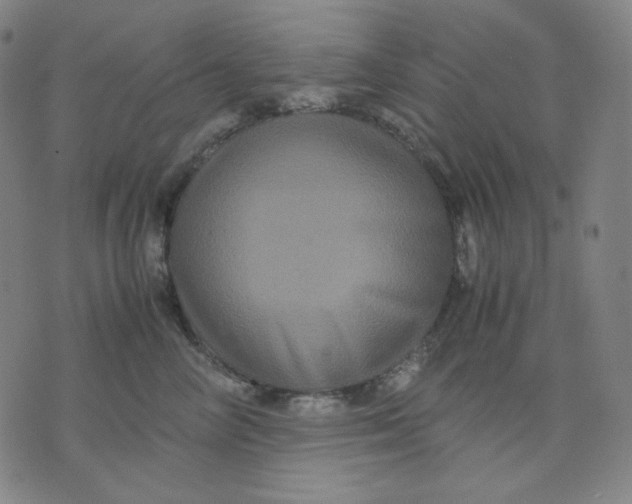 X0000071790714200607211622