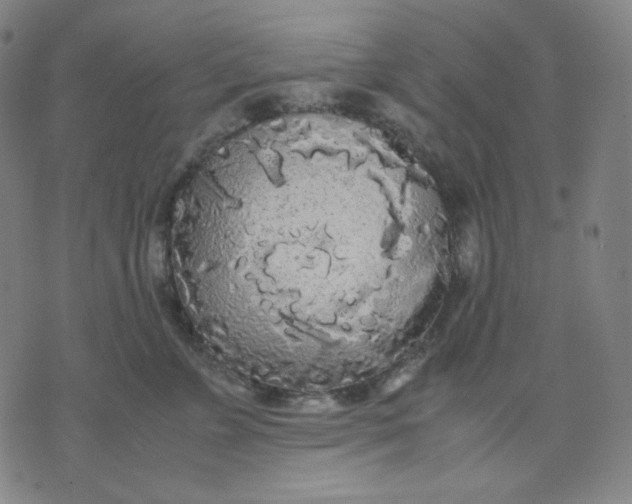 X0000071790715200607211622