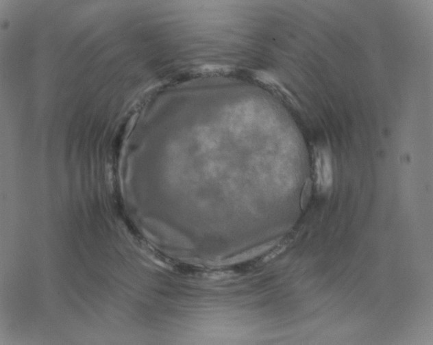 X0000071790716200607211622