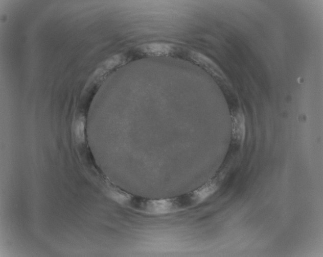 X0000071790717200607211622