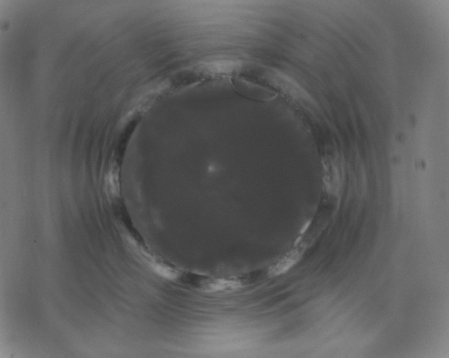 X0000071790718200607211622