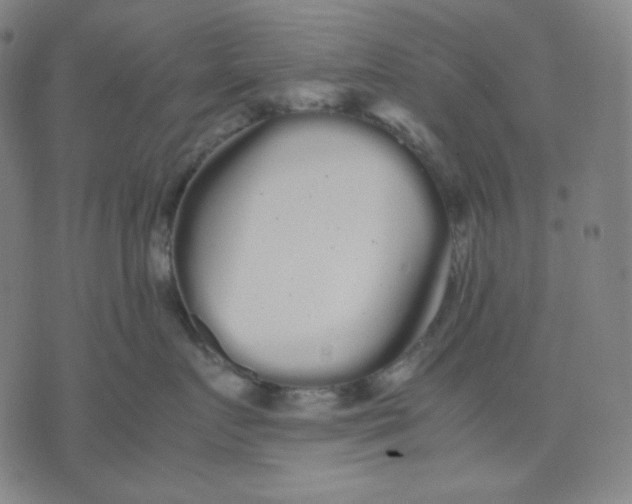 X0000071790719200607211622