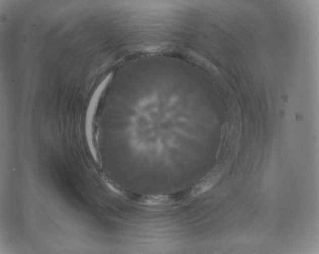 X0000071790720200607211622