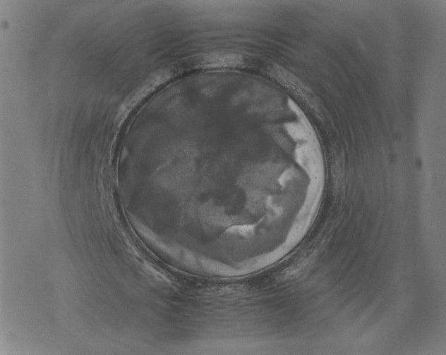 X0000071790721200607211621