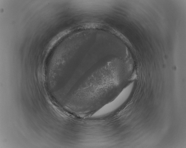 X0000071790722200607211621