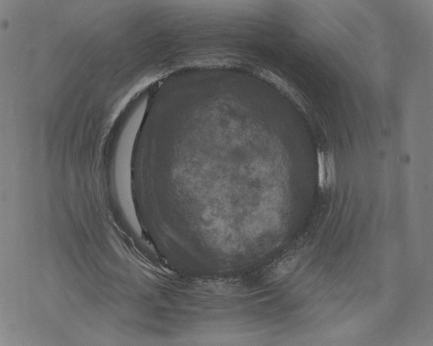 X0000071790723200607211621