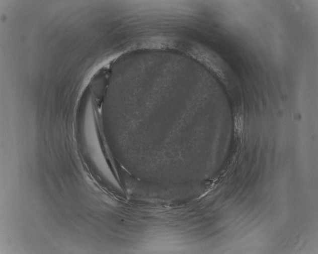 X0000071790724200607211621