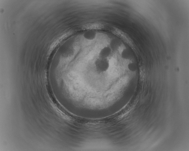 X0000071790725200607211621