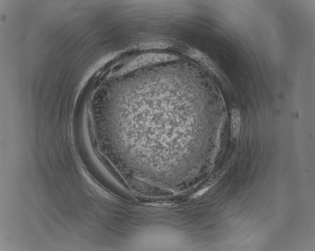 X0000071790726200607211621