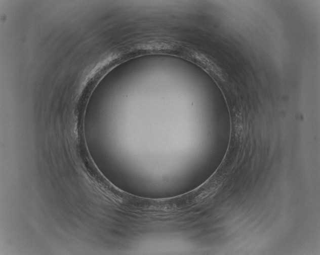 X0000071790727200607211621