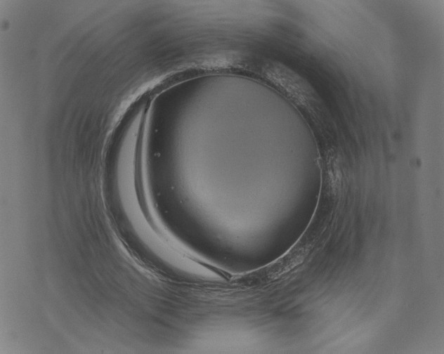 X0000071790728200607211621