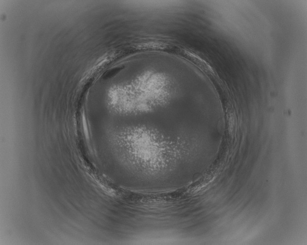 X0000071790729200607211621