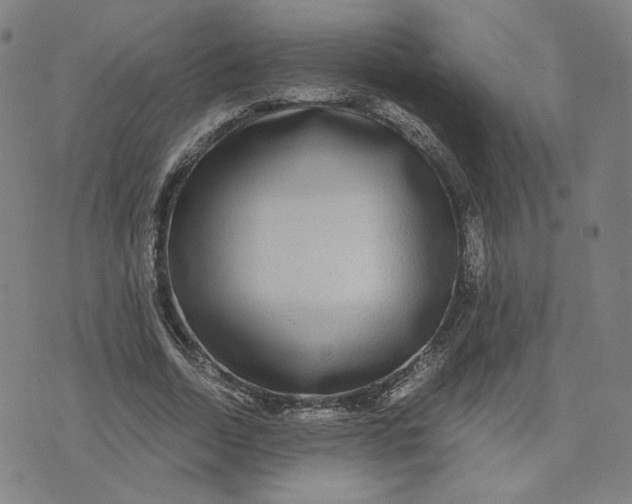 X0000071790730200607211621